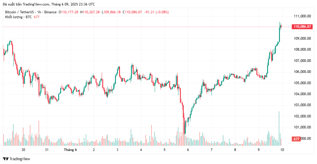 Bitcoin tăng trở lại mức 110.000 đô la
