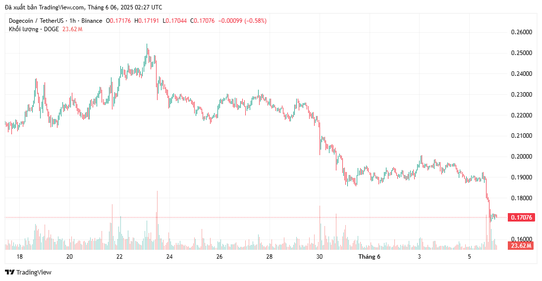 Dogecoin giảm 10% khi Elon Musk cắt đứt quan hệ với chính quyền Trump