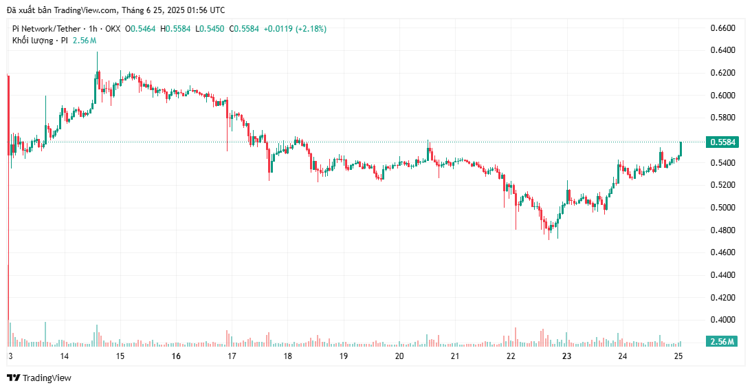Chuyên gia hàng đầu bác bỏ những tuyên bố trước đó về sự sụt giảm giá của Pi Coin