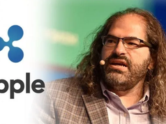 CTO Ripple David Schwartz chia sẻ thông tin tích cực với cộng đồng XRP