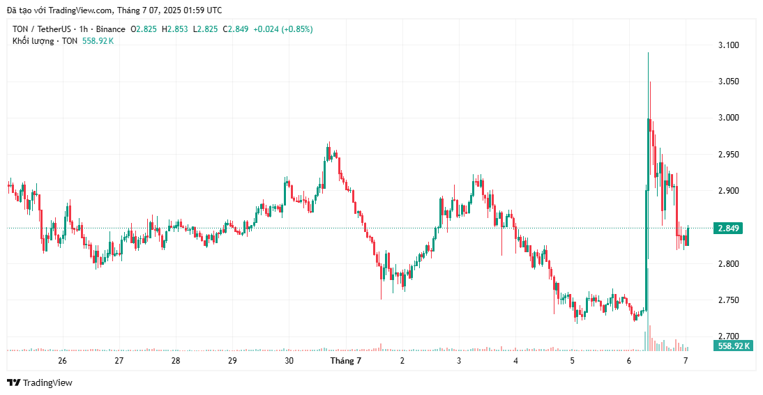 Giá TON giảm 6% sau khi chính quyền UAE từ chối yêu cầu cấp thị thực vàng