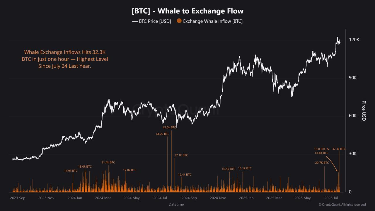 Cá voi Bitcoin có khả năng thúc đẩy mùa Altcoin
