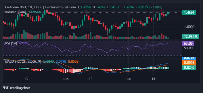 FARTCOIN 