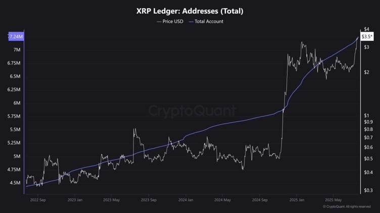 XRP Ledger đạt kỷ lục 7,24 triệu ví khi sự bùng nổ của DeFi 
