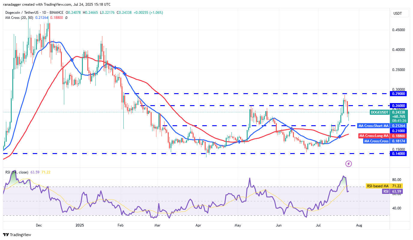 Bit Origin mua 40,5 triệu DOGE có thể thúc đẩy giá tăng lên 0,29 đô la
