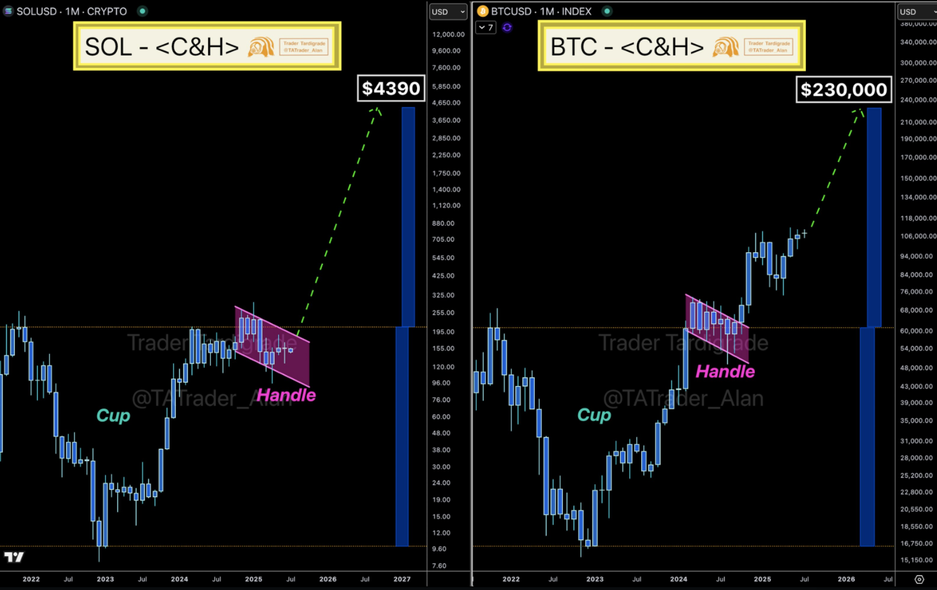 btc-tang