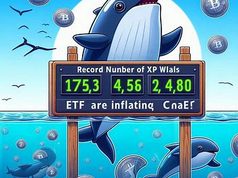 Số lượng cá voi XRP đạt kỷ lục: ETF đang thổi phồng cơn sốt?