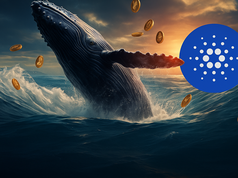 Cardano (ADA) bị kẹt lại trong cuộc chiến giữa cá voi và nhà bán lẻ