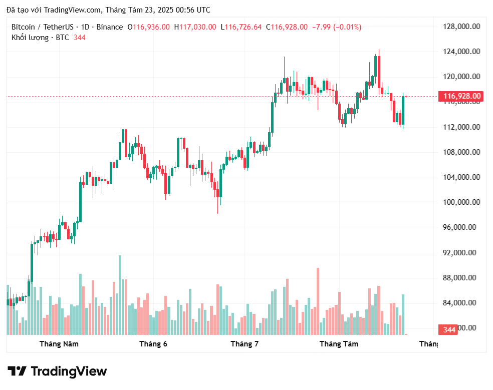 Giá Bitcoin tăng lên 117.000 đô la