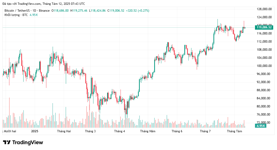 Nến ngày "khá xấu" của Bitcoin có thể báo hiệu giá giảm xuống dưới 117.000 đô la