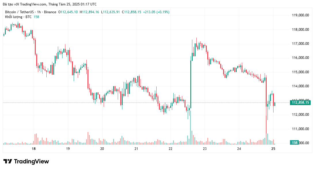Bitcoin giảm xuống dưới 113.000 đô la 