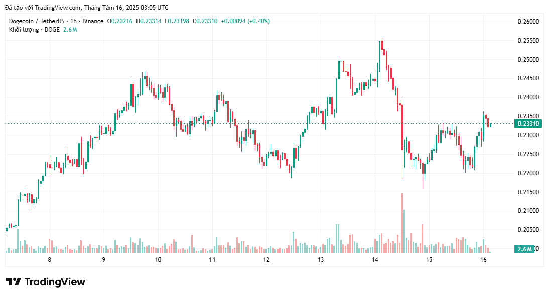 Cá voi mua 200 tỷ DOGE khi giá sắp tăng lên 0,30 đô la
