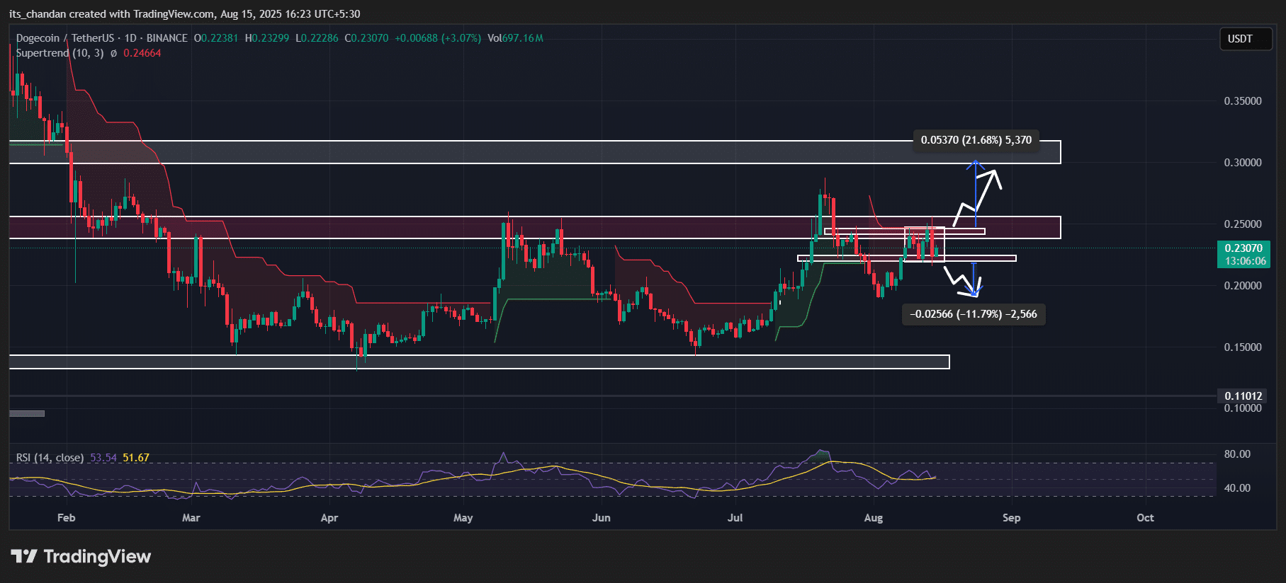 Cá voi mua 200 tỷ DOGE khi giá sắp tăng lên 0,30 đô la