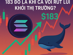 Liệu Solana có thể trở lại 183 đô la khi cá voi rút lui khỏi thị trường?