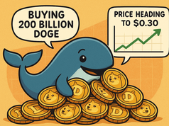 Cá voi mua 200 tỷ DOGE khi giá sắp tăng lên 0,30 đô la