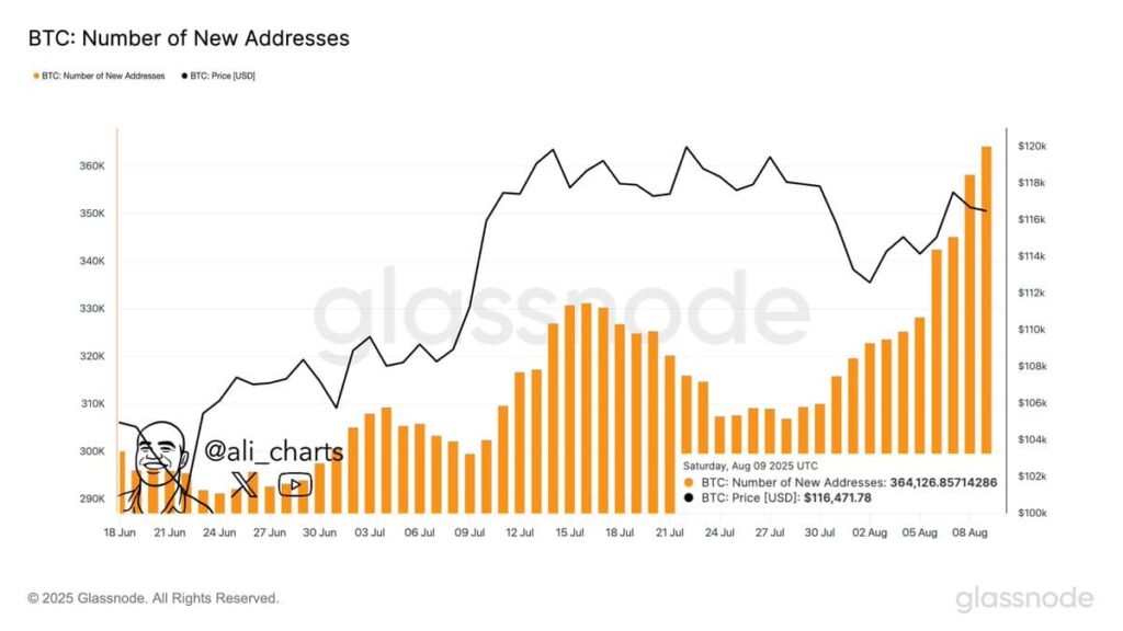 Địa chỉ Bitcoin mới đạt mức tăng kỷ lục vào năm 2025