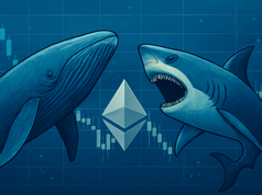 Cá voi đã gửi 90,74 triệu đô la ETH vào BitFinex sau sáu năm ngủ đông