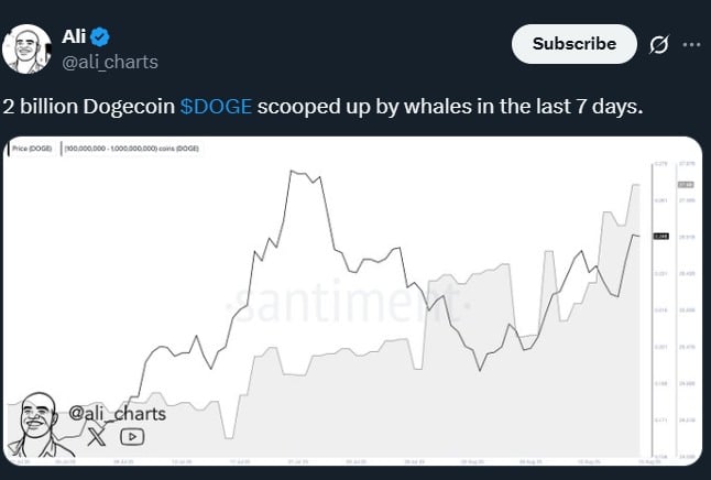 Cá voi mua 200 tỷ DOGE khi giá sắp tăng lên 0,30 đô la