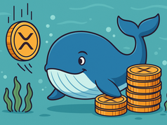 Đừng để cú rơi đánh lừa bạn: Cá voi đang đặt cược lớn vào XRP!