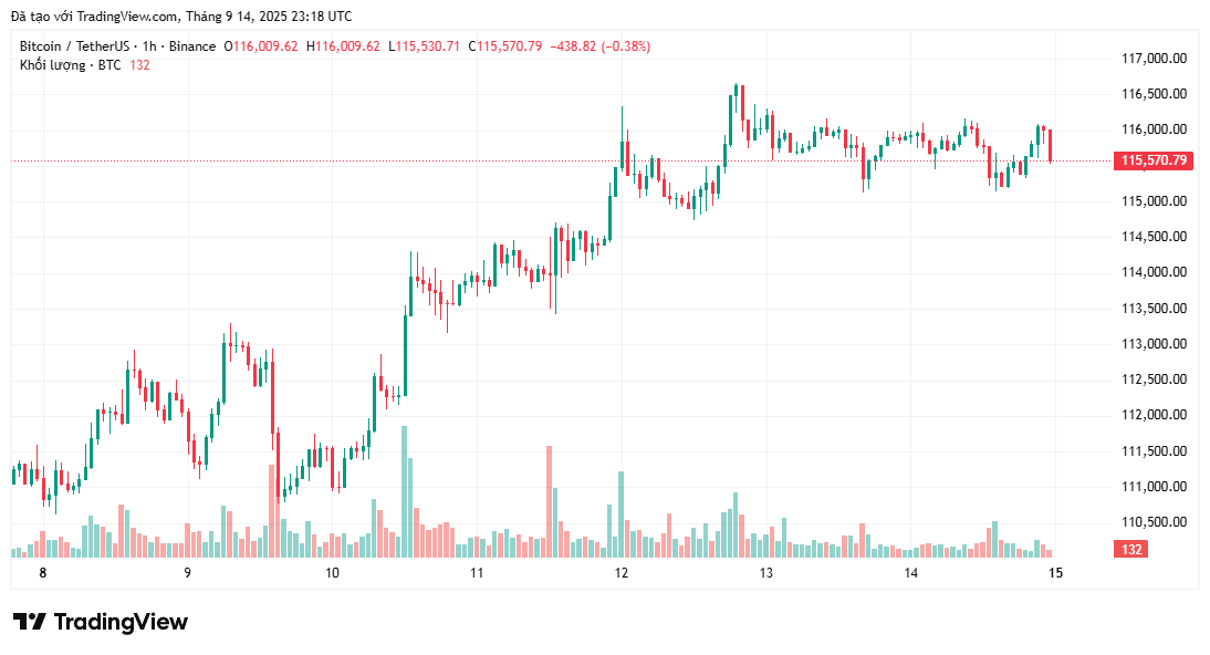 Trader cho biết "đã đến lúc chú ý" đến mức giá 115.000 đô la của Bitcoin