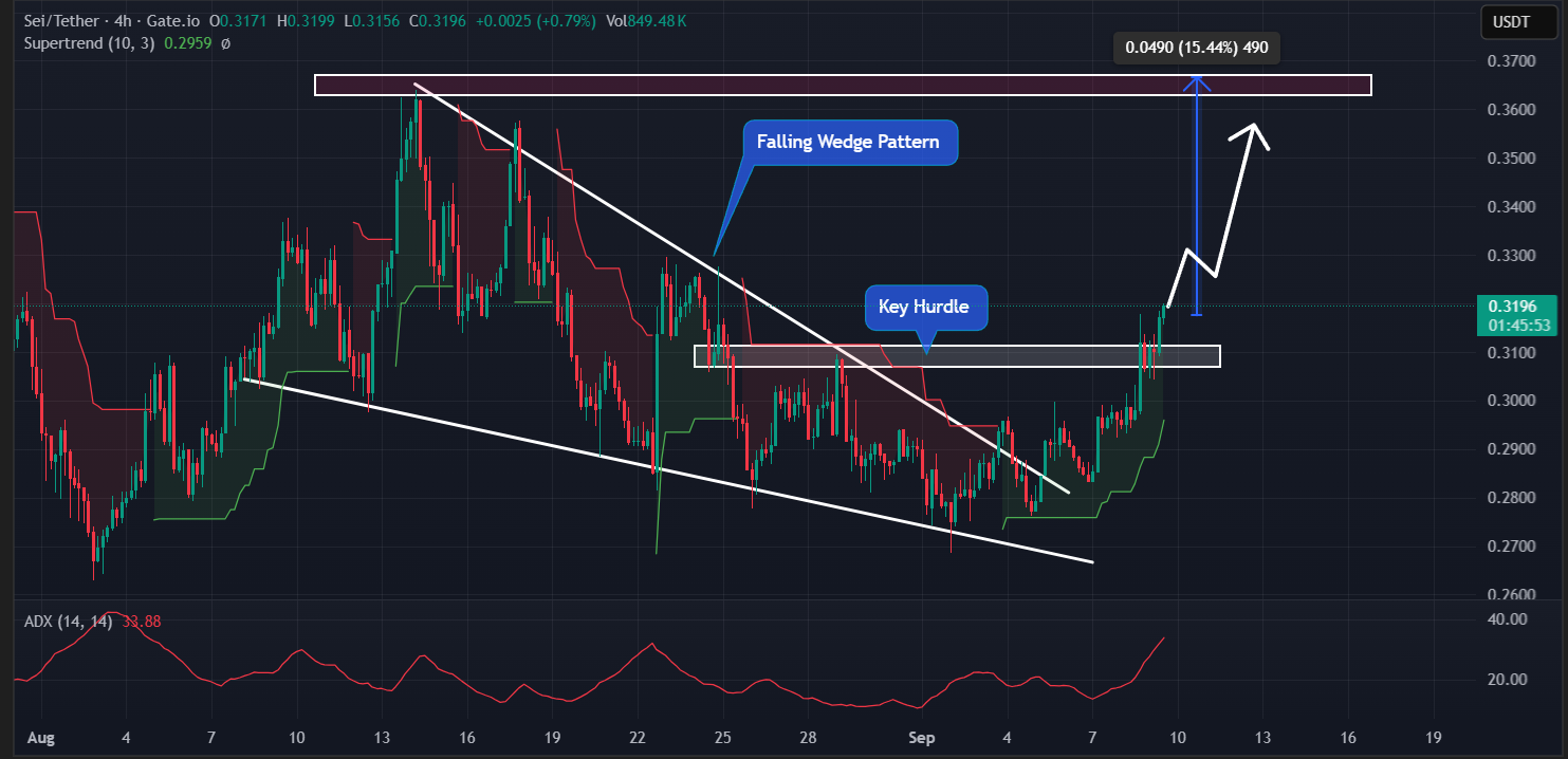 Giá SEI tăng vọt 8% sau khi được SEC chấp thuận 