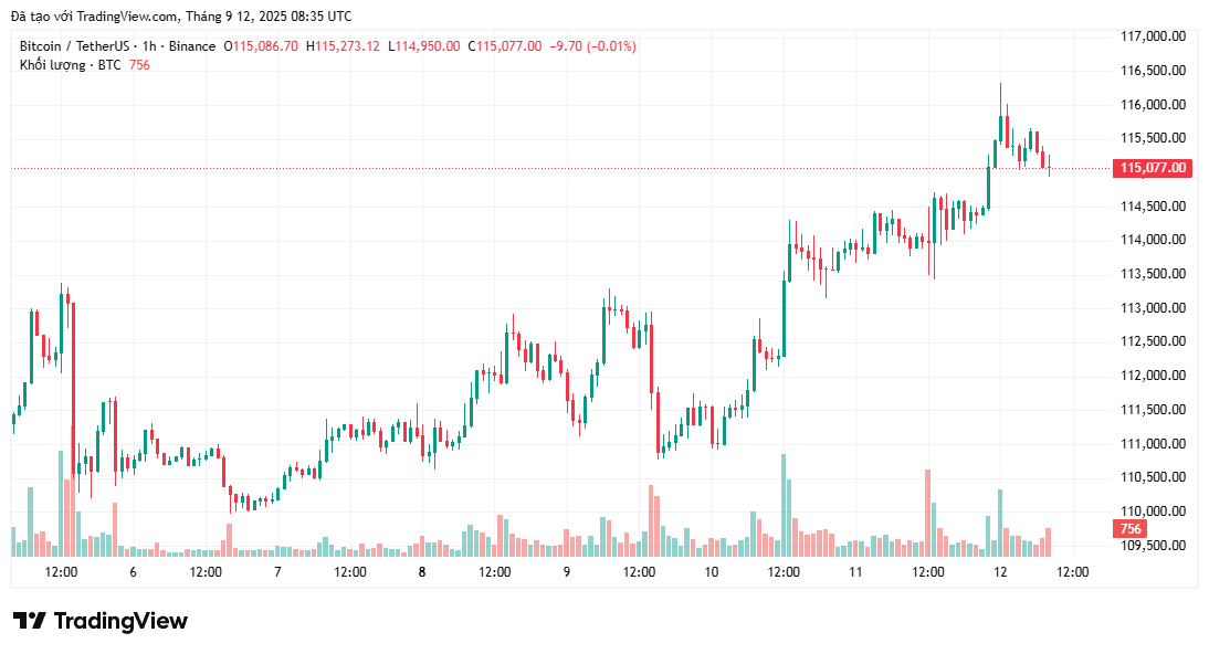 8 trong số 10 chỉ báo tăng giá của Bitcoin chuyển sang giảm giá mặc dù tăng vọt lên 116.000 đô la