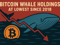 Lượng Bitcoin mà cá voi nắm giữ giảm xuống mức thấp nhất kể từ năm 2018 trong bối cảnh chốt lời đáng kể