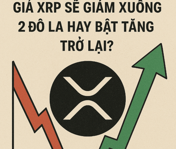 Tạp chí crypto hàng đầu Việt Nam