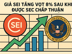 Giá SEI tăng vọt 8% sau khi được SEC chấp thuận – Liệu có đột phá 0,36 đô la không?