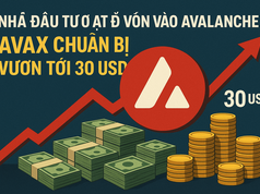 Nhà đầu tư ồ ạt đổ vốn vào Avalanche: AVAX chuẩn bị vươn tới 30 USD?