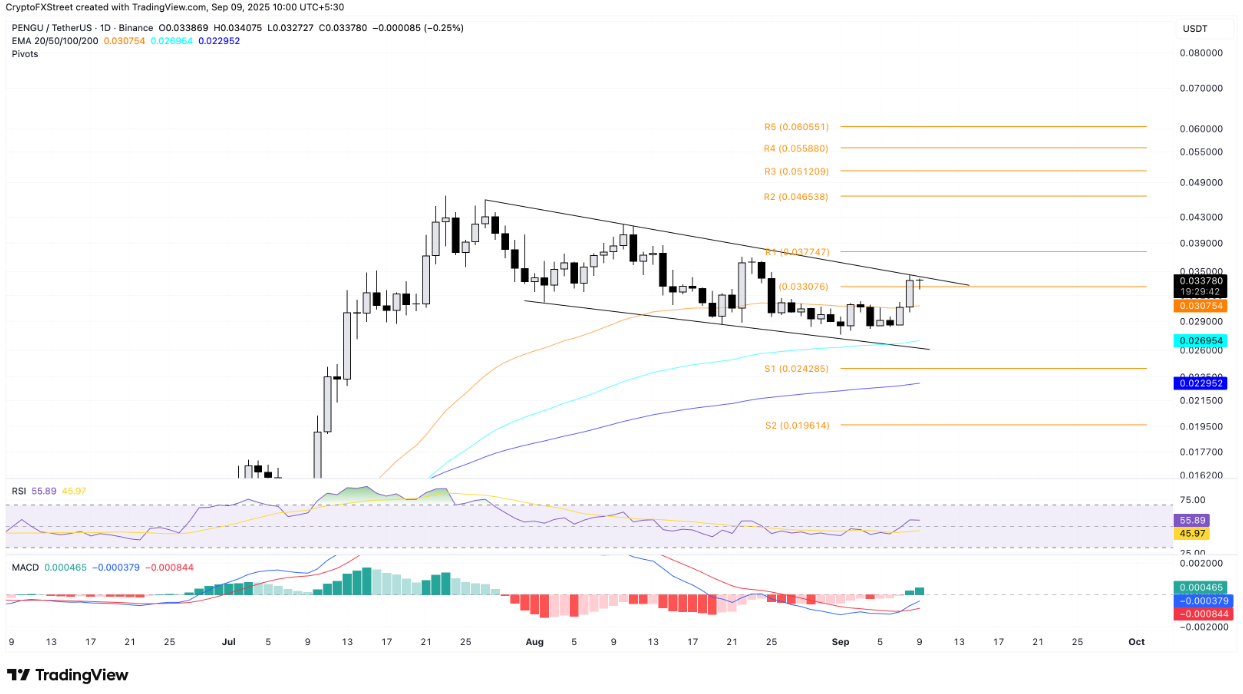 memecoin-pengu